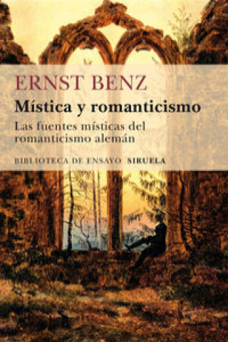 Könyv Mística y romanticismo ERNST BENZ
