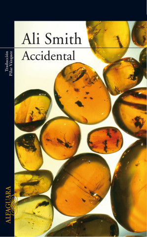 Kniha Accidental Alan Smith