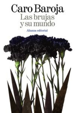 Buch Las brujas y su mundo Julio Caro Baroja