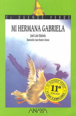 Kniha Mi hermana Gabriela José Luis Olaizola
