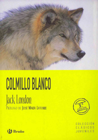 Kniha Colmillo Blanco Jack London