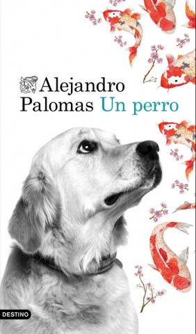 Buch Un perro ALEJANDRO PALOMAS