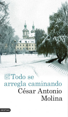 Kniha Todo se arregla caminando CESAR ANTONIO MOLINA