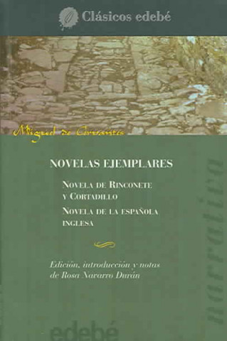Livro Novelas ejemplares Miguel de Cervantes Saavedra