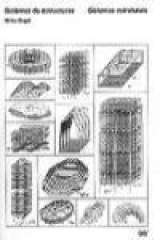 Knjiga Sistemas de estructuras Heino Engel