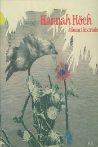 Książka Album ilustrado Hannah Höch