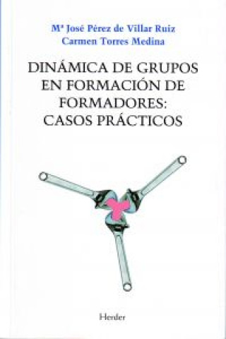 Kniha Dinámica de grupos en formación de formadores : casos prácticos María José Pérez de Villar Ruiz