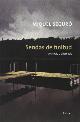 Könyv Sendas de finitud : analogía y diferencia MIQUEL SEGURO