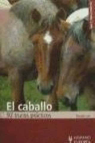 Kniha El caballo : 92 trucos prácticos Claude Lux