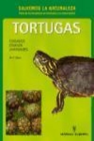 Carte Tortugas : cuidados, crianza, variedades W. P. Mara