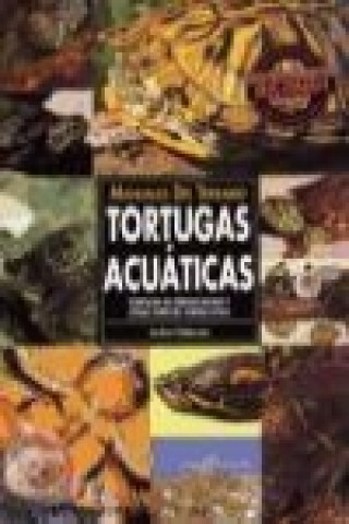Carte Tortugas acuáticas : tortuga de orejas rojas y otras especies americanas Jordan Patterson