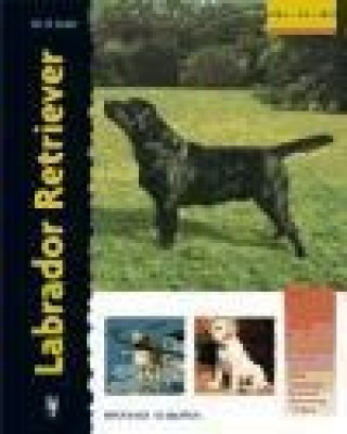 Kniha Labrador retriever Bernard Duke