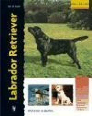 Buch Labrador retriever Bernard Duke