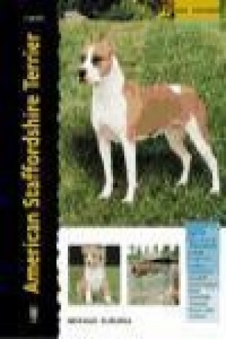 Carte American staffordshire terrier Joseph Janish