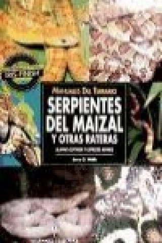 Könyv Serpientes del maizal y otras rateras : Elaphe guttata y especies afines Jerry G. Walls