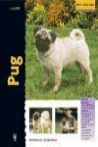 Book Pug Juliette Cunliffe
