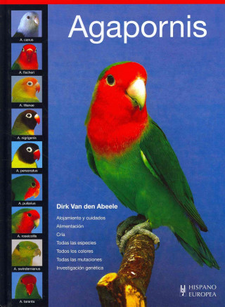 Kniha Agapornis Dirk van den Abeele