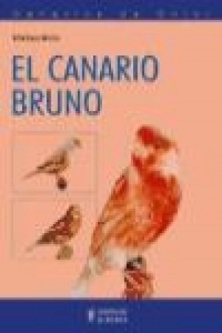 Buch El canario bruno Rafael Cuevas Martínez