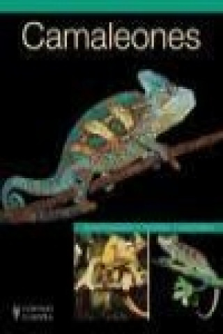 Libro Camaleones Dominik Kiesselbach