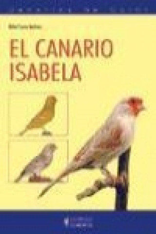 Könyv Canarios de color : el canario Isabela Rafael Cuevas Martínez