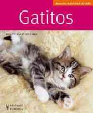 Kniha Gatitos : manuales mascotas en casa Brigitte Eilert-Overbeck