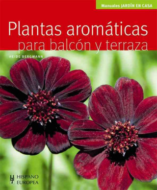 Kniha Plantas aromáticas para balcón y terraza Heide Bergmann