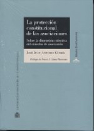 Carte La protección constitucional de las asociaciones José Juan Anzures Gurría