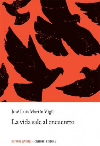 Kniha La vida sale al encuentro José Luis Martín Vigil