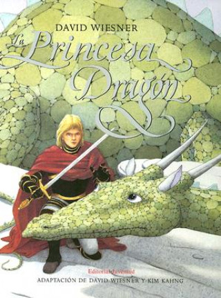 Kniha La princesa dragón David Wiesner