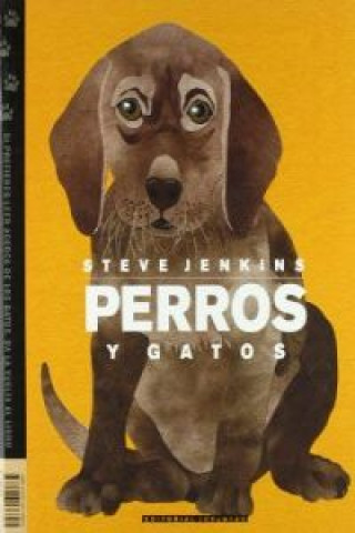 Kniha Perros y gatos STEVE JENKINS