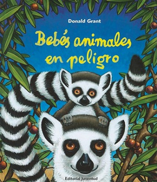 Kniha Bebés animales en peligro Donald Grant
