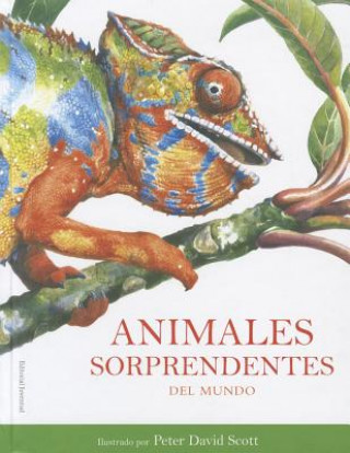 Книга Animales Sorprendentes del Mundo Rachel Williams
