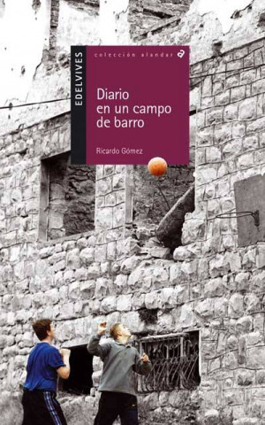 Könyv Diario de un campo de barro Ricardo Gómez Gil