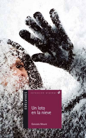 Könyv Un loto en la nieve Gonzalo Moure