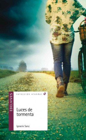 Book Luces de tormenta IGNACIO SANZ