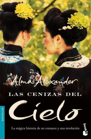 Buch Las cenizas del cielo Alma Alexander