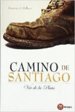 Könyv Camino de Santiago : Vía de la Plata Francisco J. Relloso Rodríguez