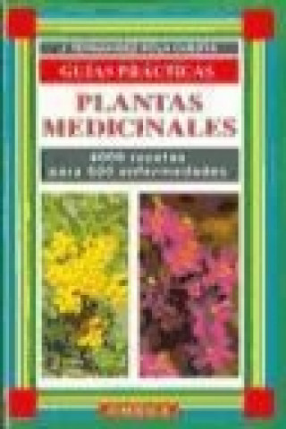 Buch Plantas medicinales : un recetario básico J. Fernández-Pola