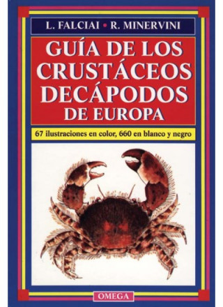 Könyv Guía de los crustáceos decápodos de Europa Lucia Falciai