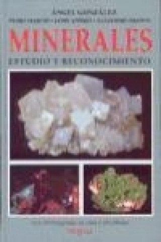 Buch Minerales : estudio y reconocimiento Ángel González García