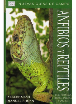 Könyv Anfibios y reptiles de la Península Ibérica, Baleares y Canarias Albert Masó Planas