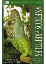 Kniha Anfibios y reptiles de la Península Ibérica, Baleares y Canarias Albert Masó Planas