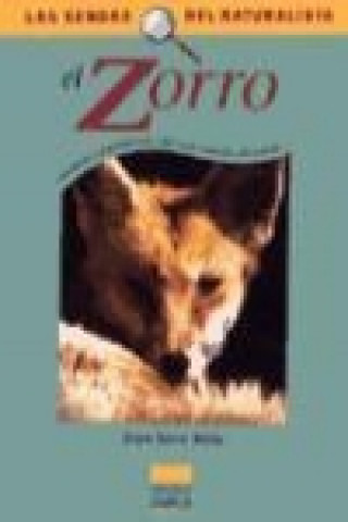 Könyv El zorro Jean-Steve Meia