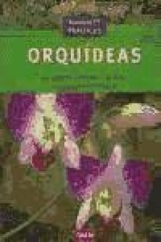 Kniha Orquídeas Jörn Pinske