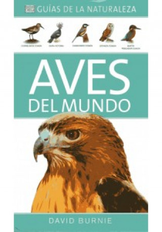 Kniha Aves del mundo : guías de la naturaleza David Burnie