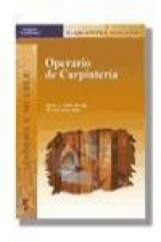 Kniha Operario de carpintería, garantía social María José López Raso
