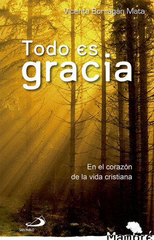 Carte Todo es gracia : en el corazón de la vida cristiana Vicente Borragán Mata