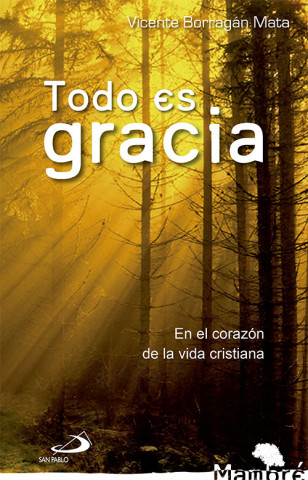 Книга Todo es gracia : en el corazón de la vida cristiana Vicente Borragán Mata