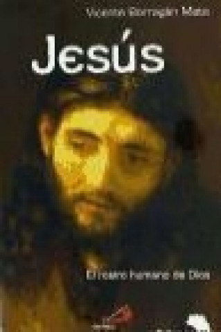 Kniha Jesús, el rostro humano Vicente Borragán Mata