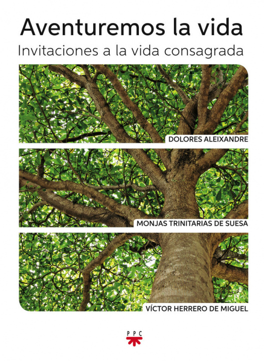 Buch Aventuremos la vida: Invitaciones a la vida consagrada 